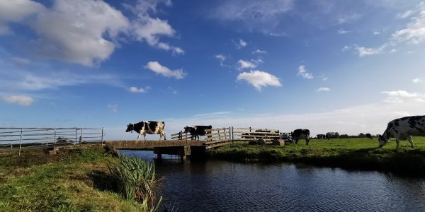 how ERP Software can help dairy ingredient traders worldwide